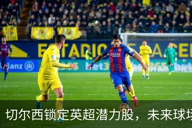 切尔西锁定英超潜力股，未来球场的明星中场！