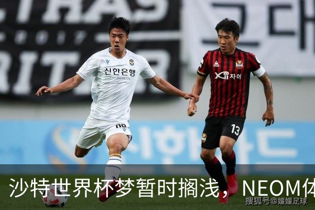 沙特世界杯梦暂时搁浅，NEOM体育场成“停工王