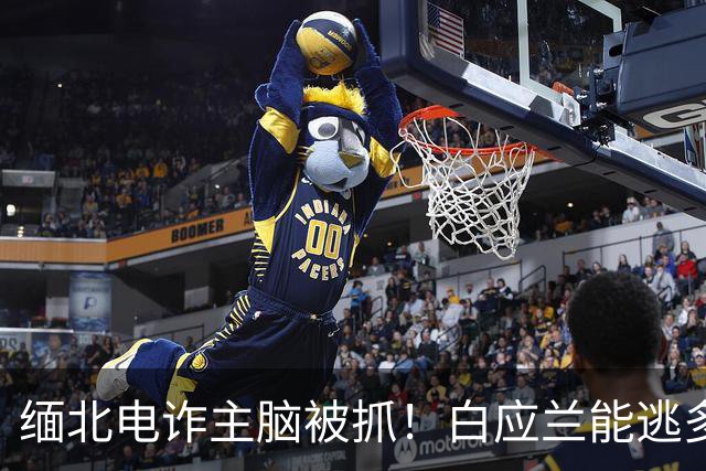 缅北电诈主脑被抓！白应兰能逃多久？