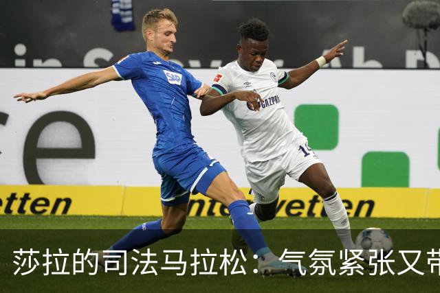 莎拉的司法马拉松：气氛紧张又带幽默的“法庭秀