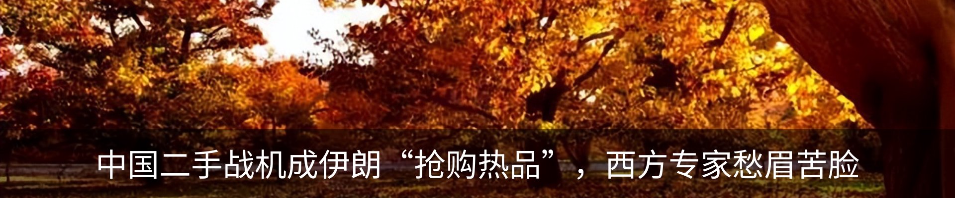 新闻中心